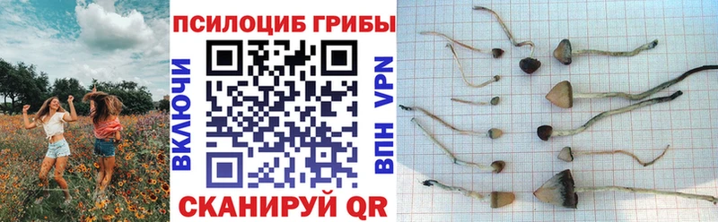 Галлюциногенные грибы ЛСД  наркотики  KRAKEN маркетплейс  Орёл 